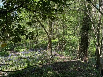 3.2 Acres Pikes Pool