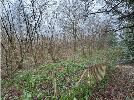 Land at Rose Bank Coppice, Headley Heath, B38 0DX